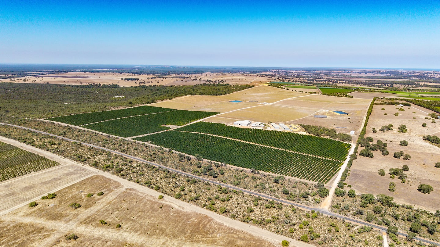 Aerial view of a cultivated orchard surrounded by arid farmland and native vegetation, with farm buildings, access roads, and irrigation infrastructure visible.  