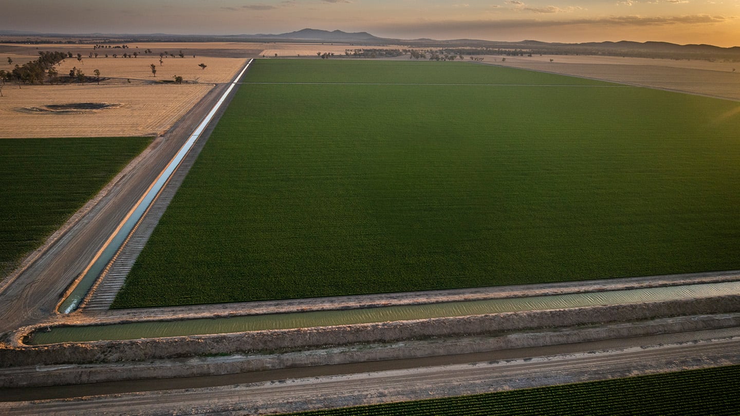 Aerial view of a large, irrigated crop field bordered by water channels and access roads, surrounded by dry agricultural land with distant hills under a sunset sky. 