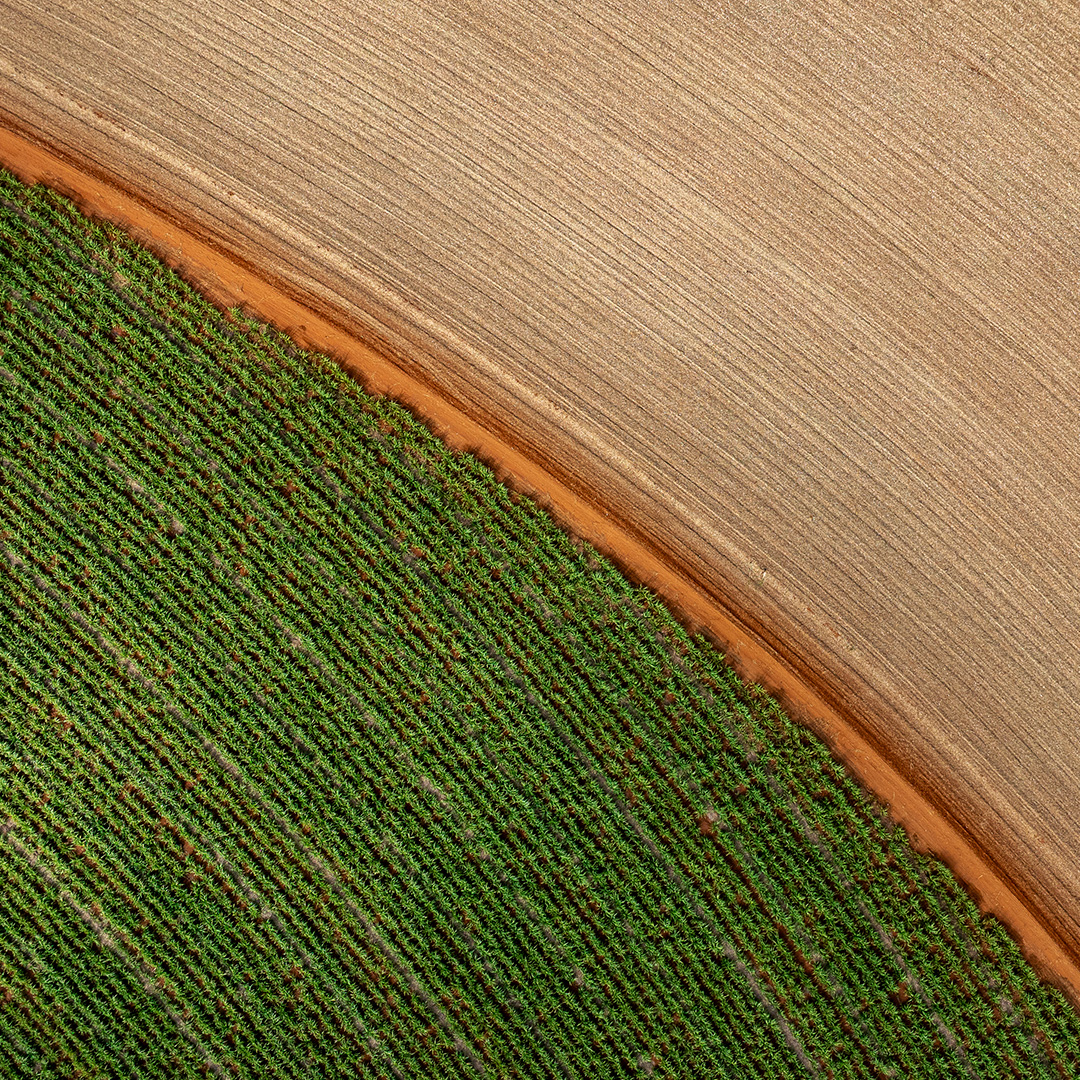 Aerial view of farmland showing a curved dirt road dividing green crops from a harvested field with textured soil patterns. 