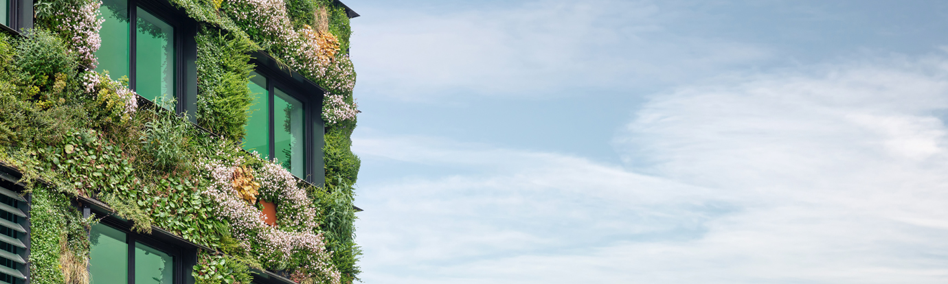 sustainability-breaker