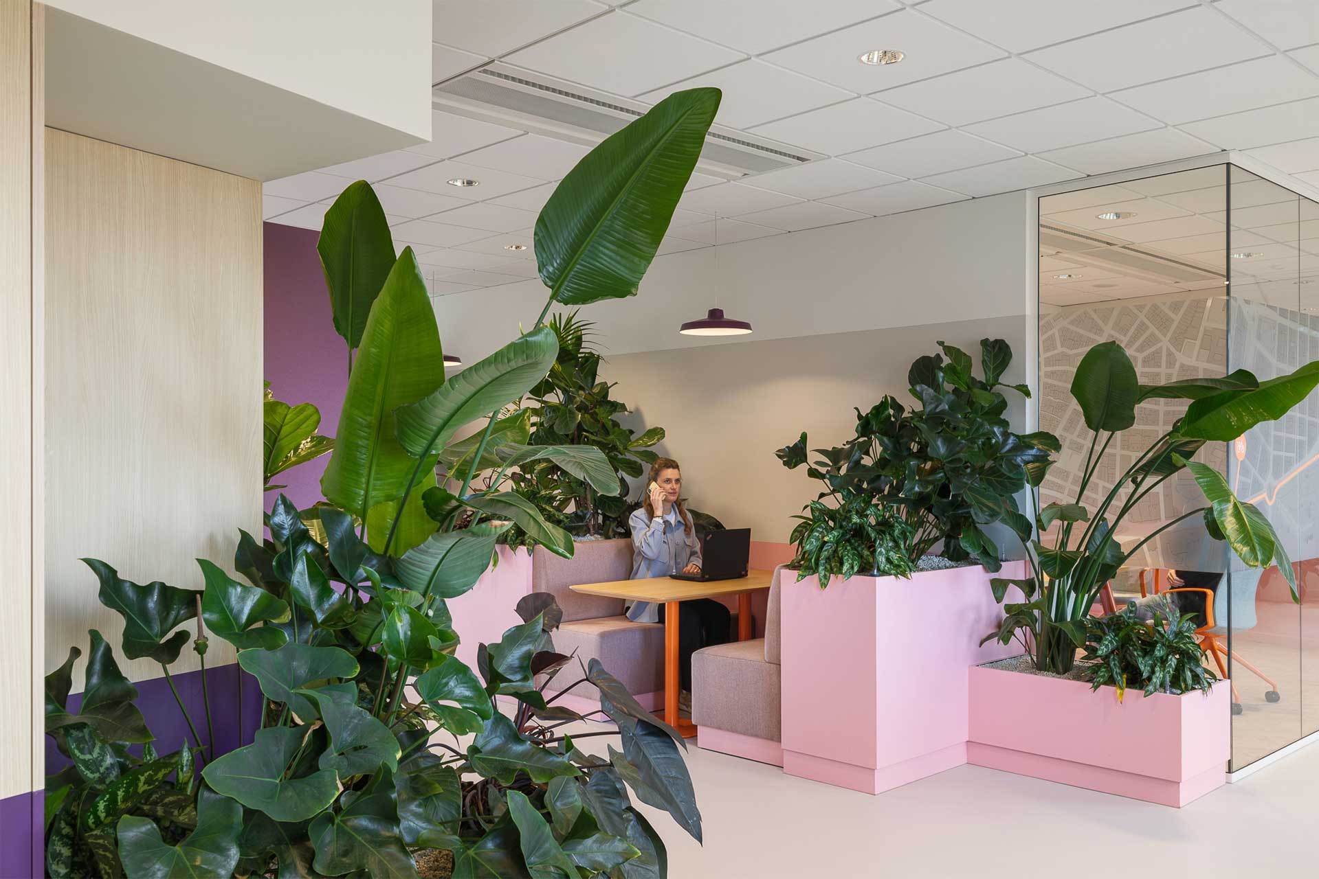Moderne kantoorruimte met levendig groen en roze plantenbakken. Een persoon zit aan een tafel, wat voor er voor zorgt dat de ruimte gezellig en uitnodigend is.