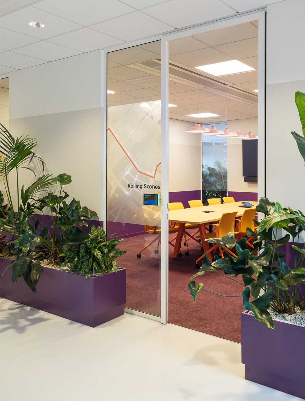 Een moderne vergaderruimte met de naam ‘Rolling Scones’, met gele stoelen rond een tafel, roze plafondlampen en weelderige groene planten in paarse plantenbakken.