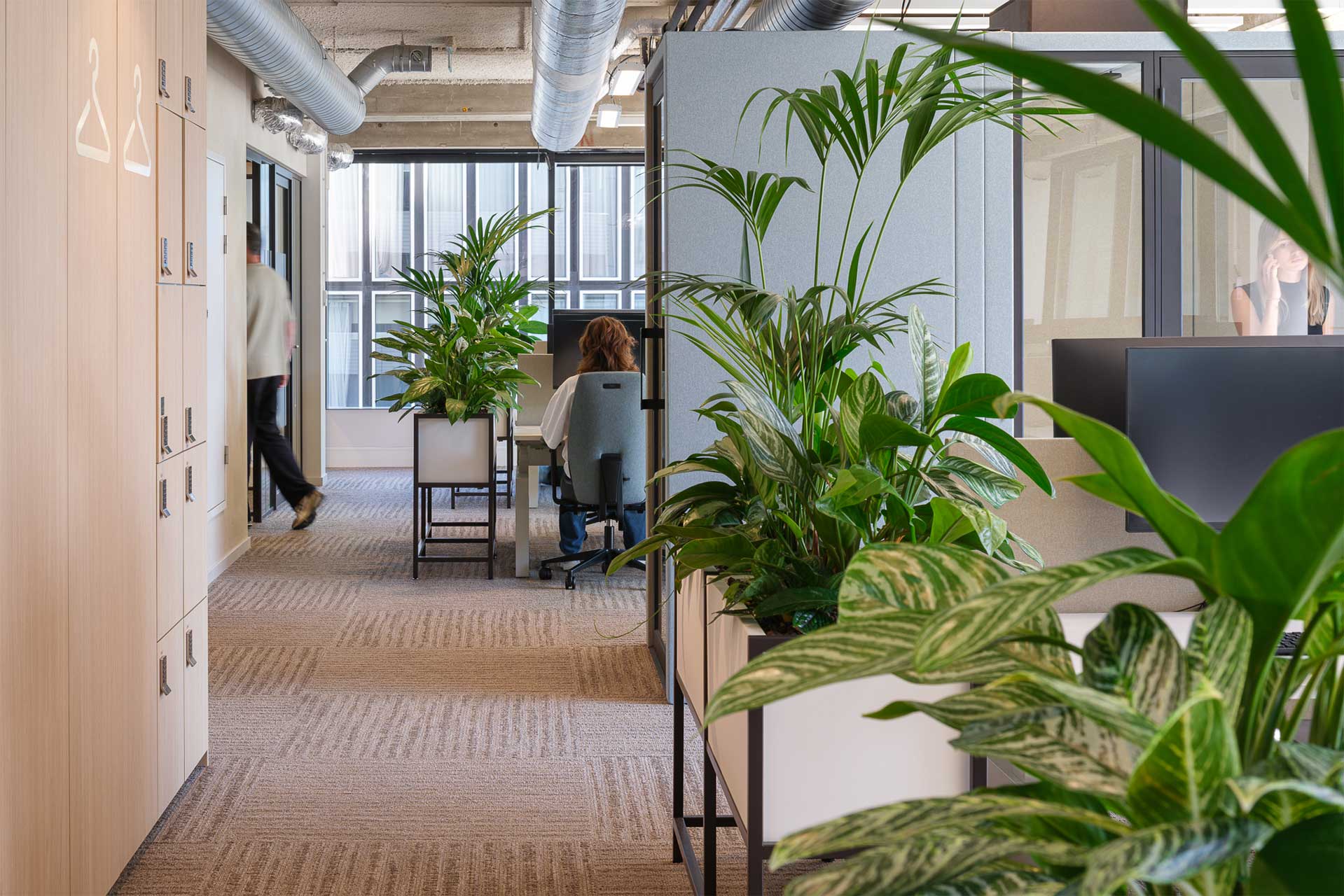 An office corridor with abundant greenery, light wood lockers on the left, and an open work area with people.