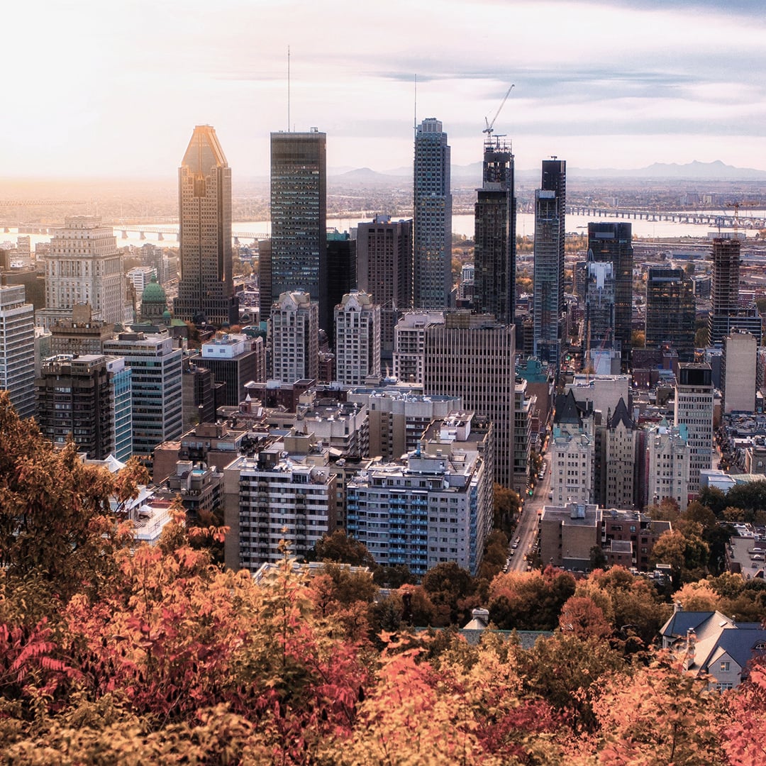 Cityscape with tall buildings, autumn-colored trees in the foreground, a river with bridges, and mountains in the distance.