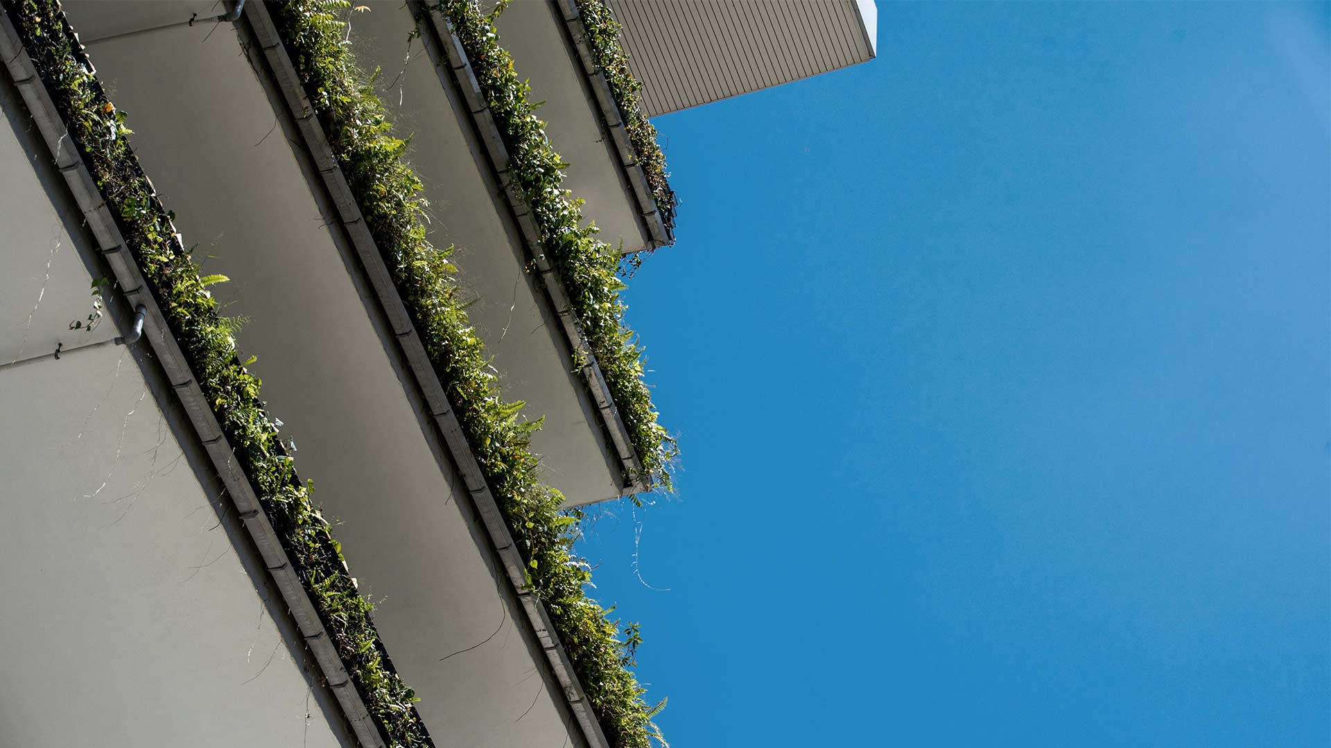 Een architectonisch detail, waarbij een deel van een gebouw te zien is tegen een heldere, blauwe lucht. Het perspectief is vanuit een laag standpunt, omhoog kijkend naar de rand van de structuur. Het gebouw lijkt meerdere verdiepingen te hebben, zoals aangegeven door de horizontale lijnen die evenwijdig aan elkaar lopen, waarschijnlijk balkons.  Elke van deze horizontale lijnen is versierd met groen; planten met weelderige bladeren die over de randen hangen en een natuurlijk element toevoegen aan het verder industriële ontwerp. De planten zien er goed onderhouden uit en maken deel uit van een doelbewuste architectonische functie om groene ruimtes in het ontwerp van het gebouw op te nemen.  De lucht op de achtergrond is diepblauw van kleur. Er zijn geen wolken zichtbaar in de lucht, die het bovenste tweederde van de afbeelding beslaat.  Over het algemeen is de compositie van de foto eenvoudig maar esthetisch aangenaam, met de nadruk op strakke lijnen, modern architectuur en geïntegreerde natuur. Het zou een representatie kunnen zijn van stedelijk ontwerp dat streeft naar het combineren van gebouwde omgevingen met natuurlijke elementen voor milieuvoordelen en esthetische verbetering.