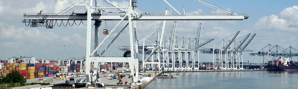 GSR22-Body-1000x300_03-Savannahjpg