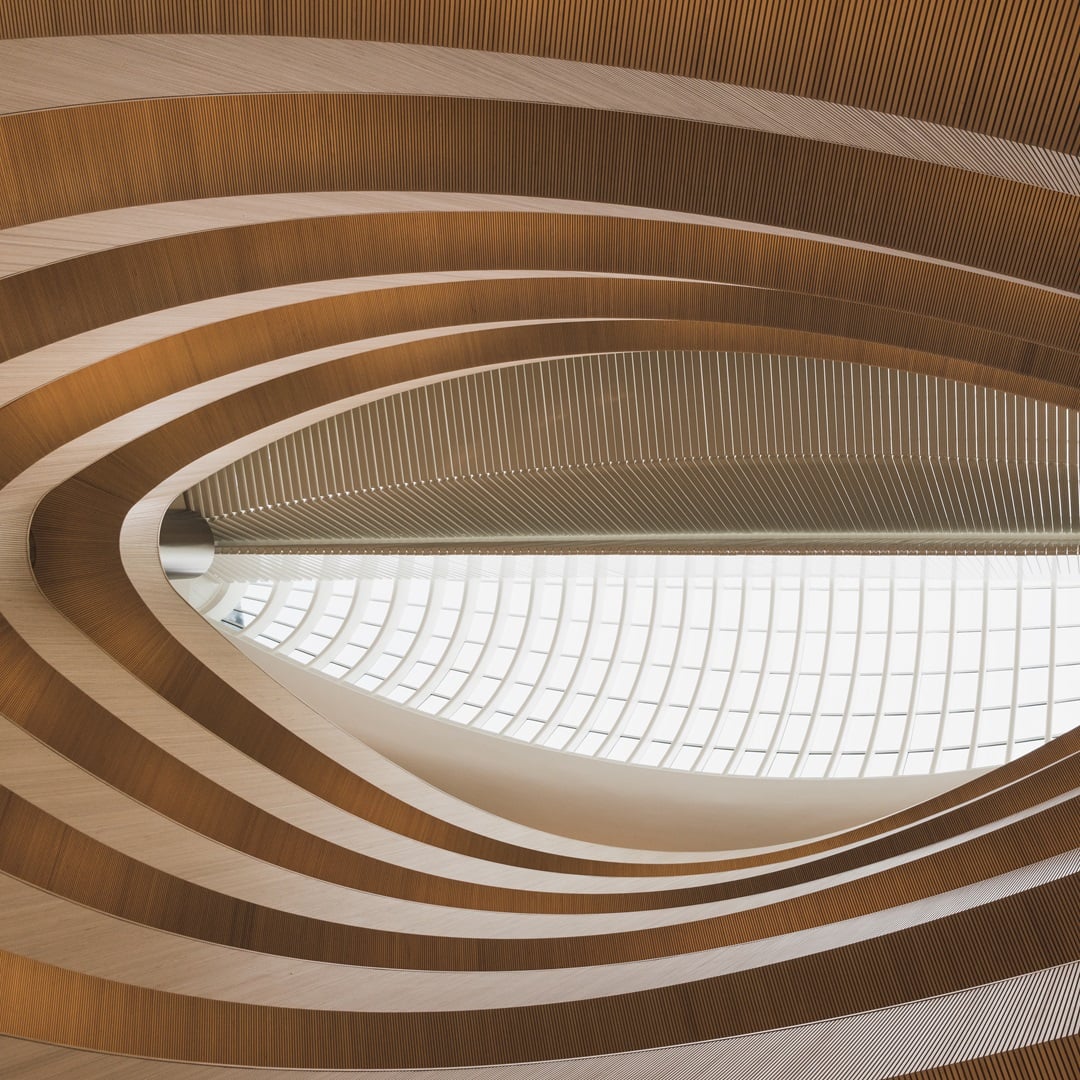 Abstract architectural interior featuring a curved wooden ceiling structure and skylight.
