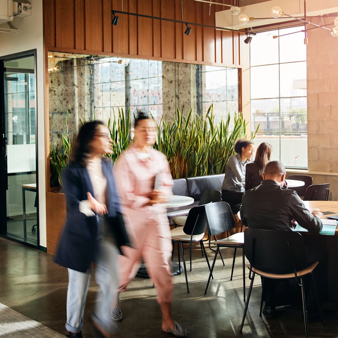 Professionals collaborating in a modern open office space with warm wood accents, indoor plants, and large industrial windows with natural light