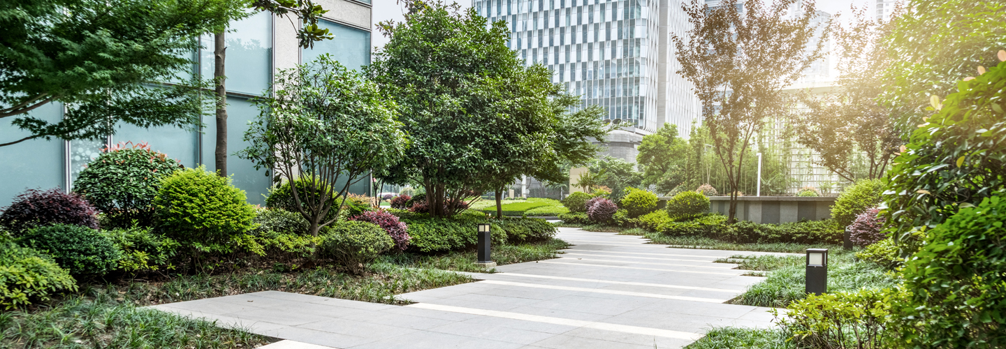 Commercial real estate insights for Quebec City