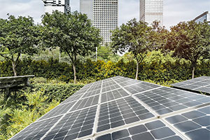 Energy & Sustainability