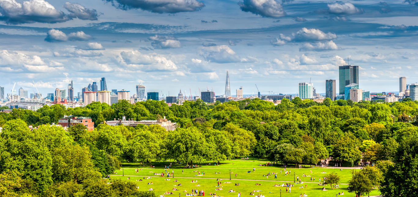 primrose-hill