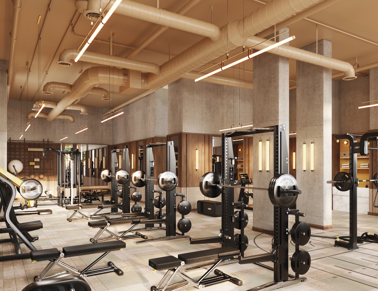 GYM 2